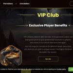 VIP Club