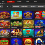 Bodog casino slots