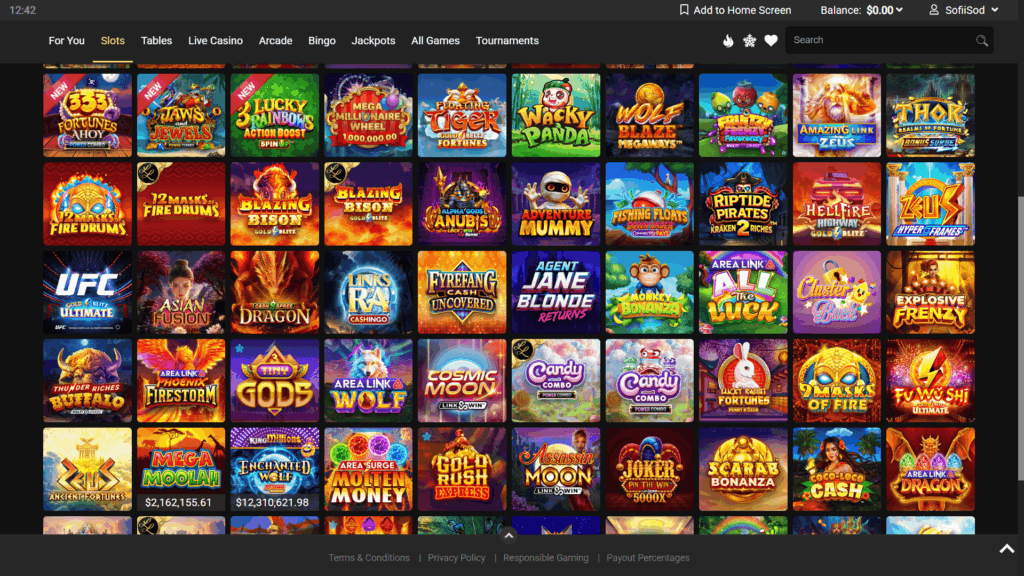 Lucky Nugget casino slots