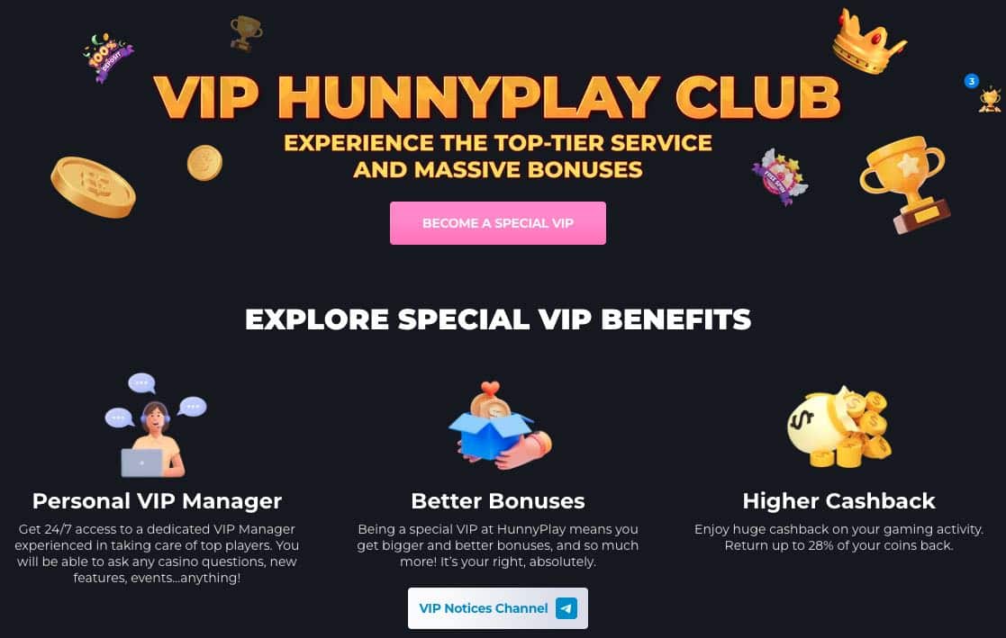VIP program