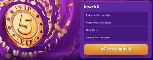Program VIP