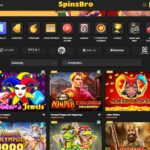 spinsbro froutákia