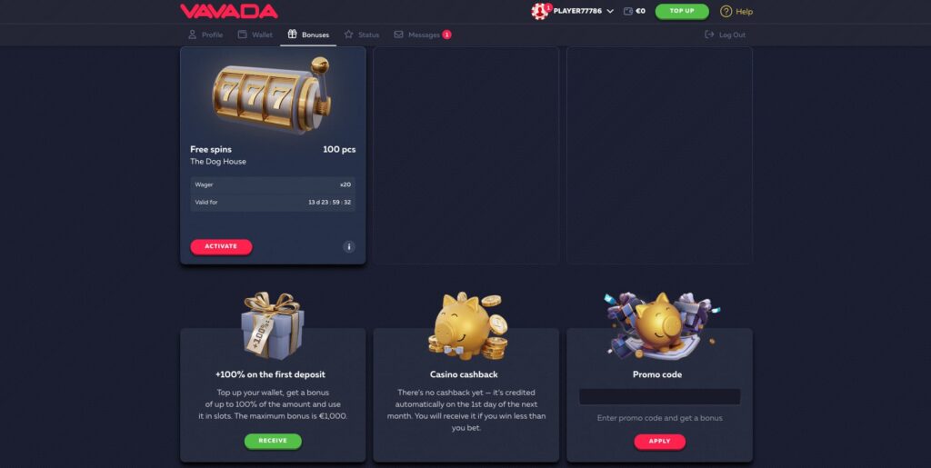Vavada Casino Bonuses