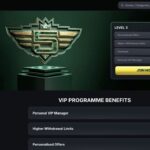 VIP program
